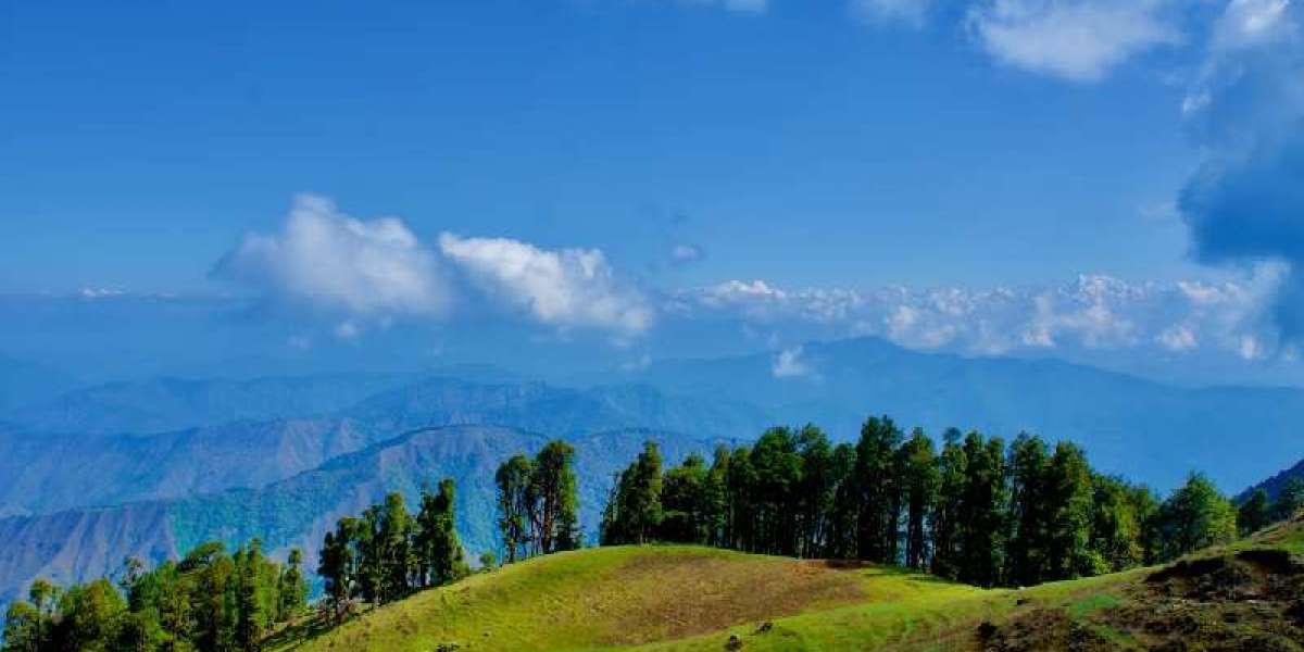 Top 5 Treks in Uttarakhand: Explore the Himalayan Beauty