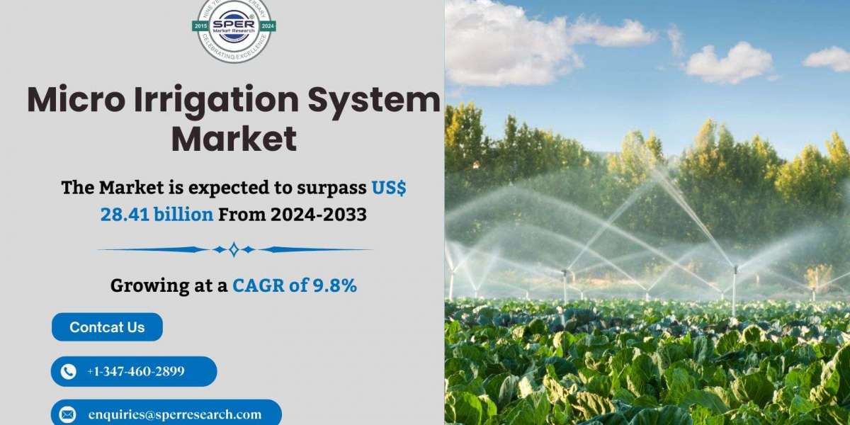 Micro Irrigation System Market Outlook 2024, Growth Trends, Revenue Drivers, Demand Challenges, Business Opportunities a