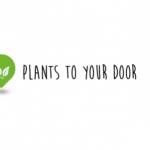 Plant door Profile Picture