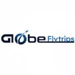 Flytrips Globe Profile Picture