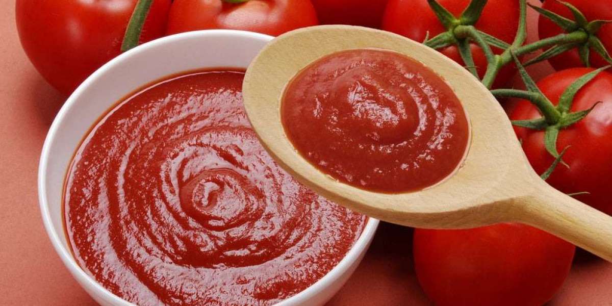 Tomato Ketchup Plant Setup, Costs, and Revenue Analysis for Investment Potential