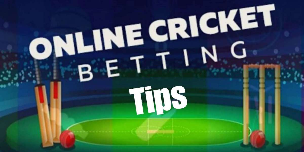 Top Cricket Betting Tips for Success at Khel Raja