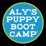 Aly Puppy Boot Camp Profile Picture