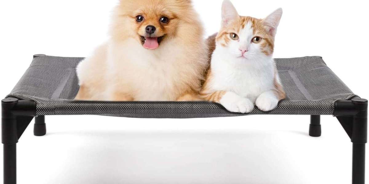 Benefits of Using a Washable Elevated Pet Bed for Your Furry Friend