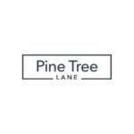 Pine Tree Lane Profile Picture