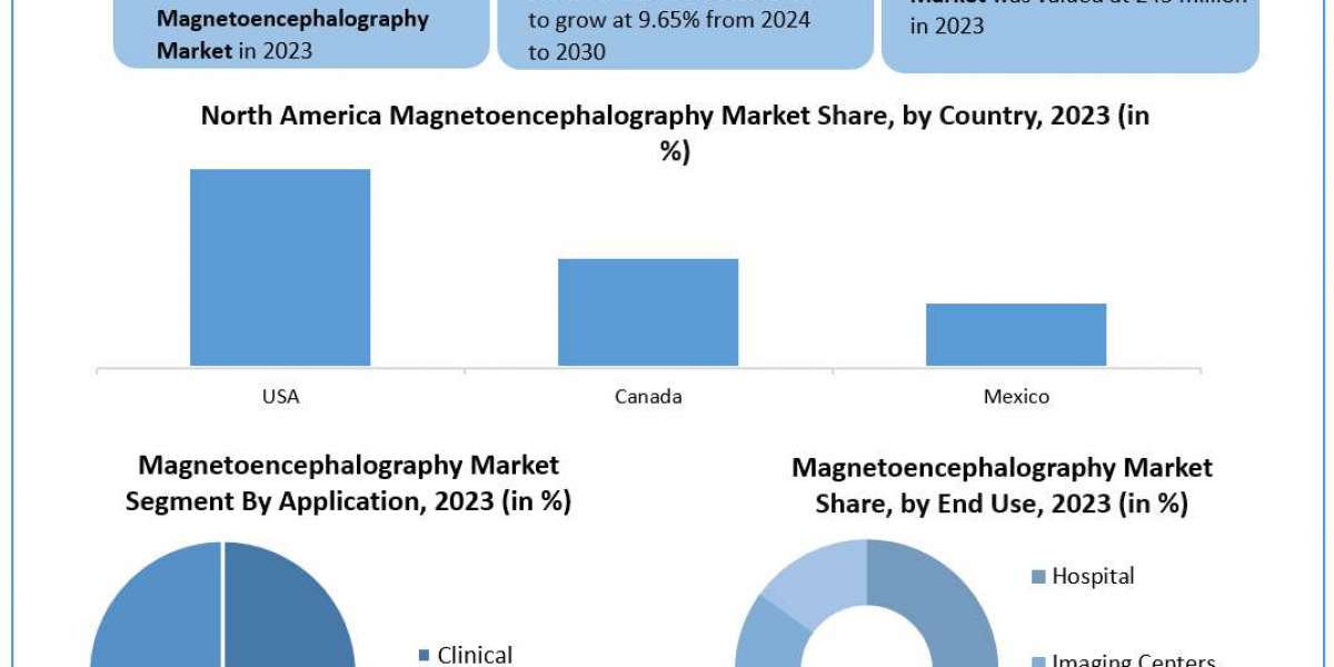 Magnetoencephalography Market Growth, Trends, Size, Future Plans, Revenue and Forecast 2030