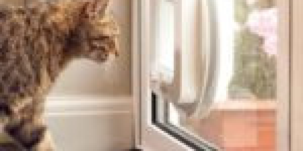 What You Should Be Focusing On Enhancing Cat Door Maintenance