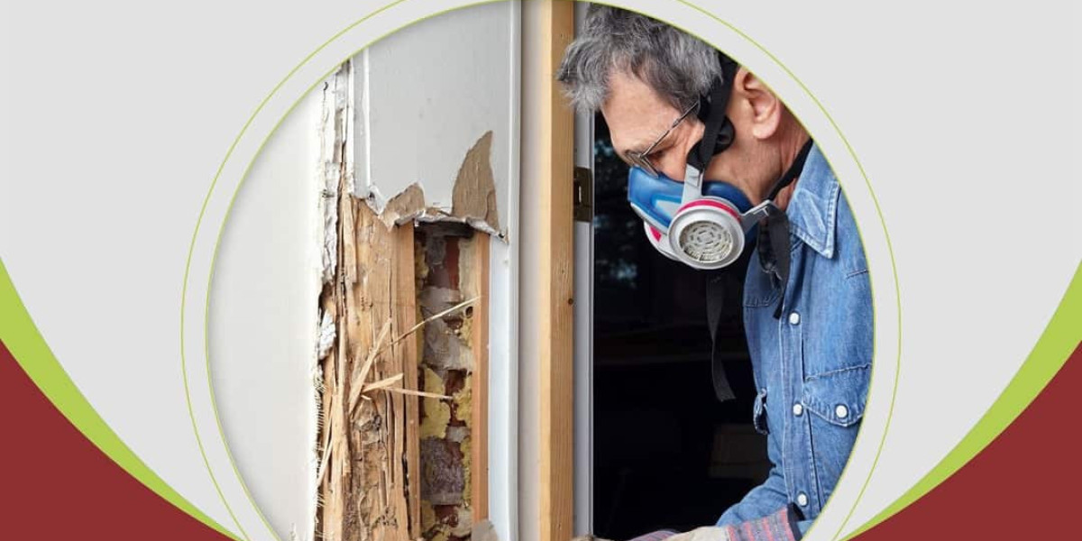 Comprehensive Termite Treatment and Termite Control Services for Effective Pest Management