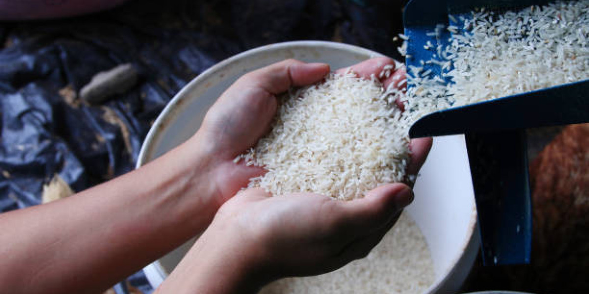 Rice Processing Plant Report 2025: Project Details, Machinery Requirements and Cost Involved