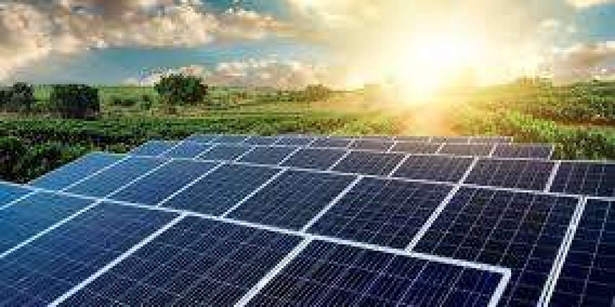 Solar Photovoltaic (pv) Market Share and Size 2025-2033