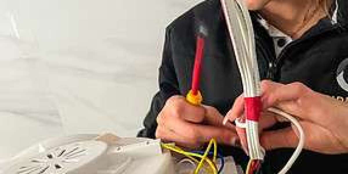 Article Picture