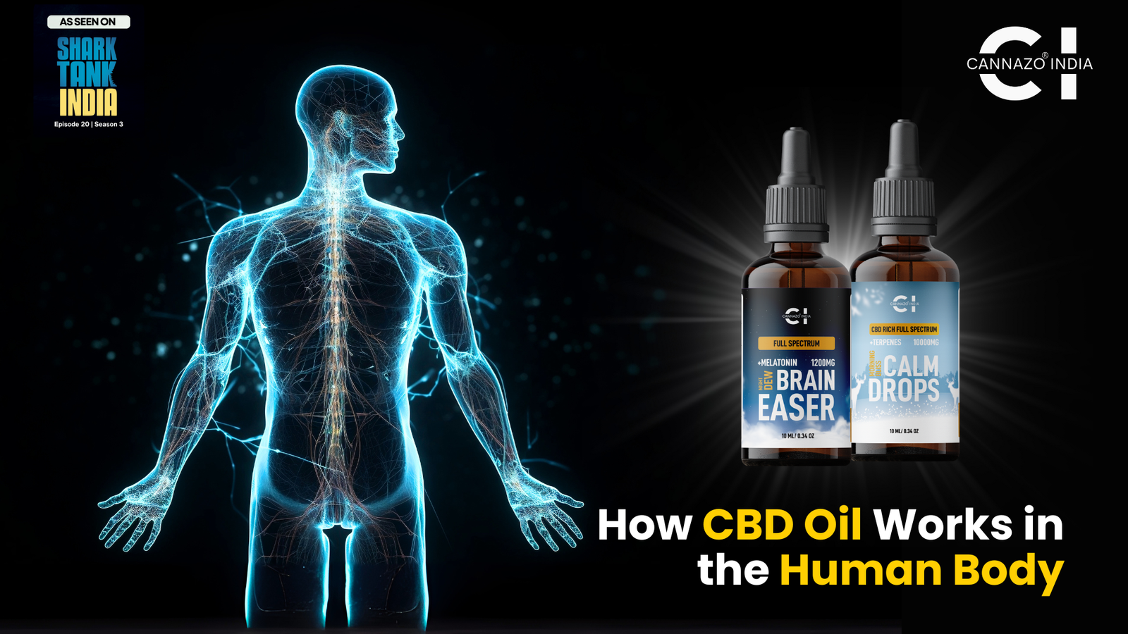 CBD Oil & the Human Body: How It Really Works