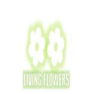 living flowers Profile Picture