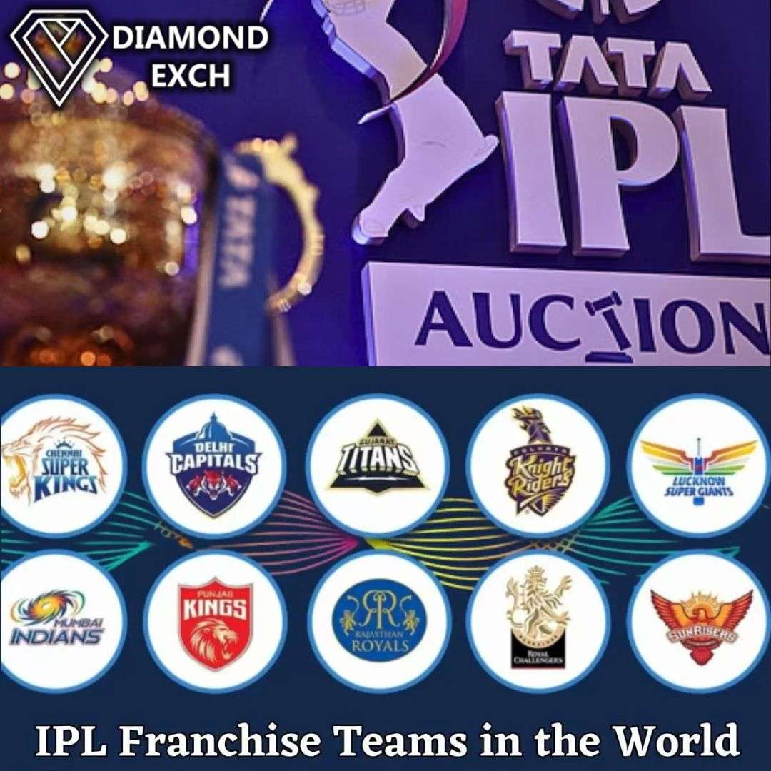 Anaya Desai Profile Picture