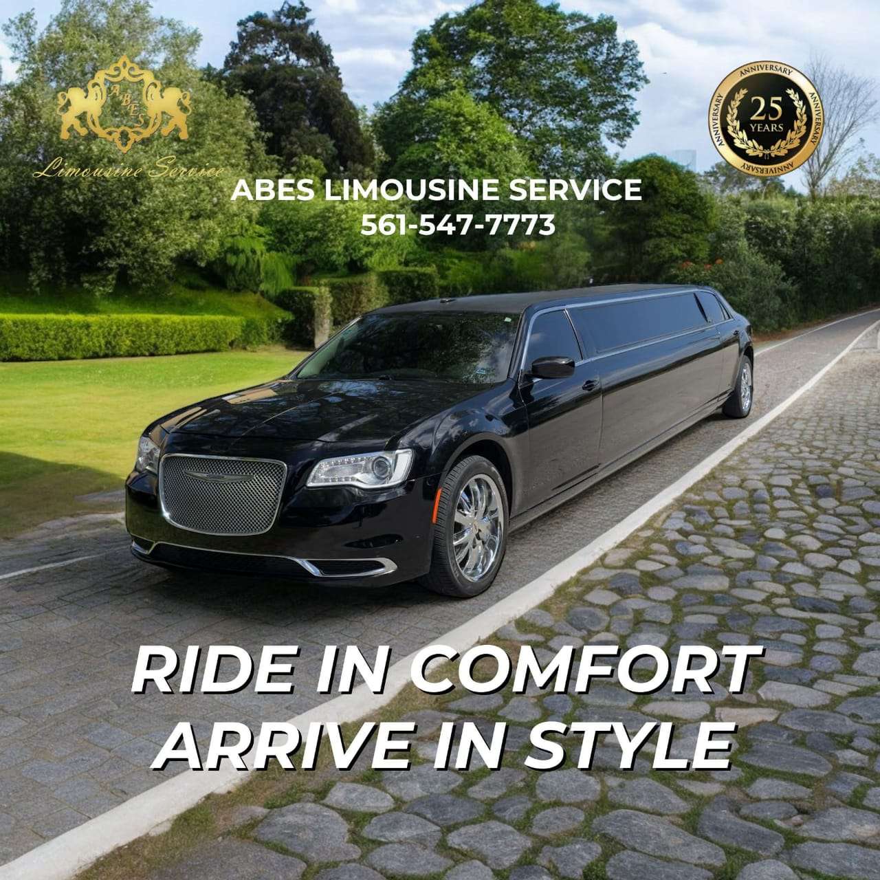 abes limoservice Profile Picture