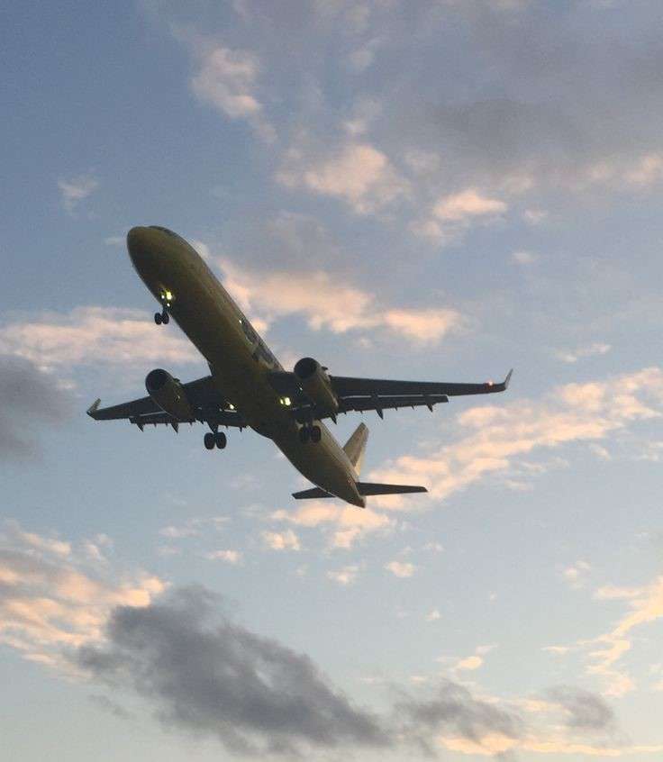 airlineshead offices Profile Picture