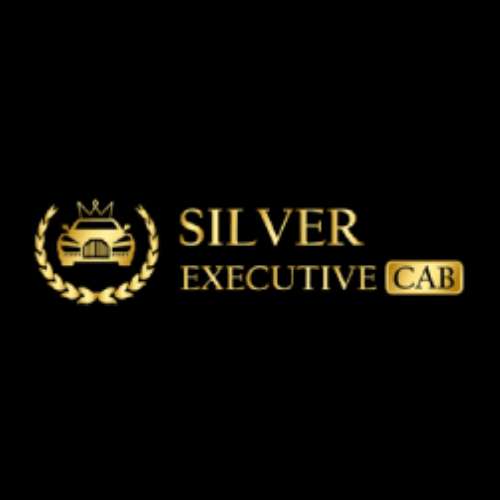 Silver Executive Cab Profile Picture