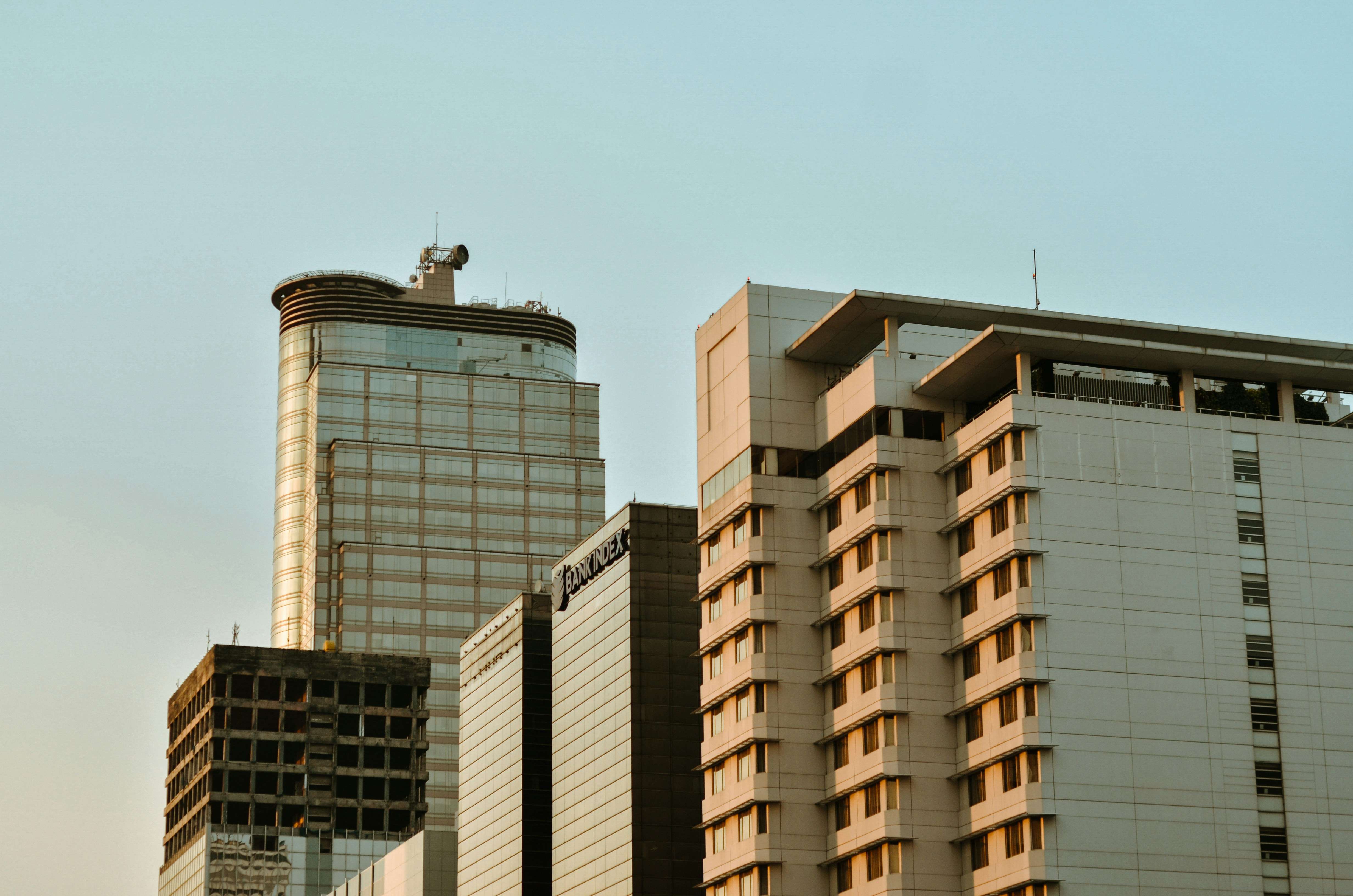 emily Carter Profile Picture