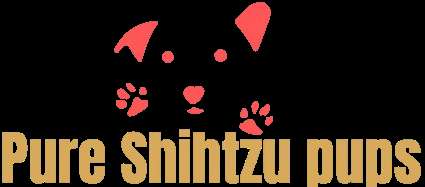 Pure Shih Tzu Pups Profile Picture