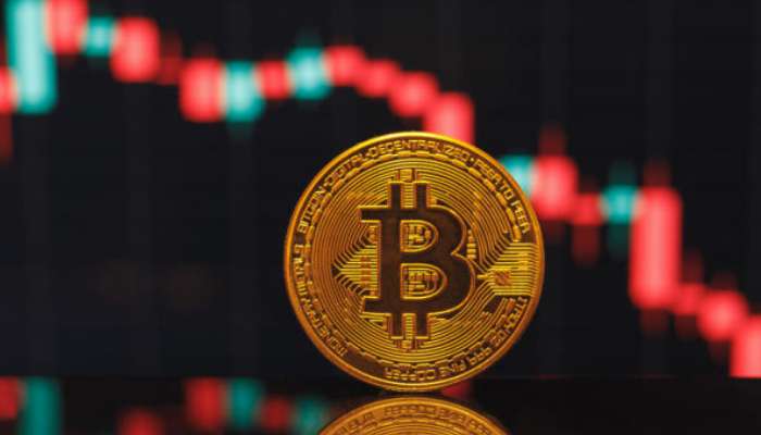 Drayton Bitline Profile Picture