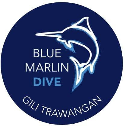 Blue Marlin Dive Gili Trawangan Profile Picture