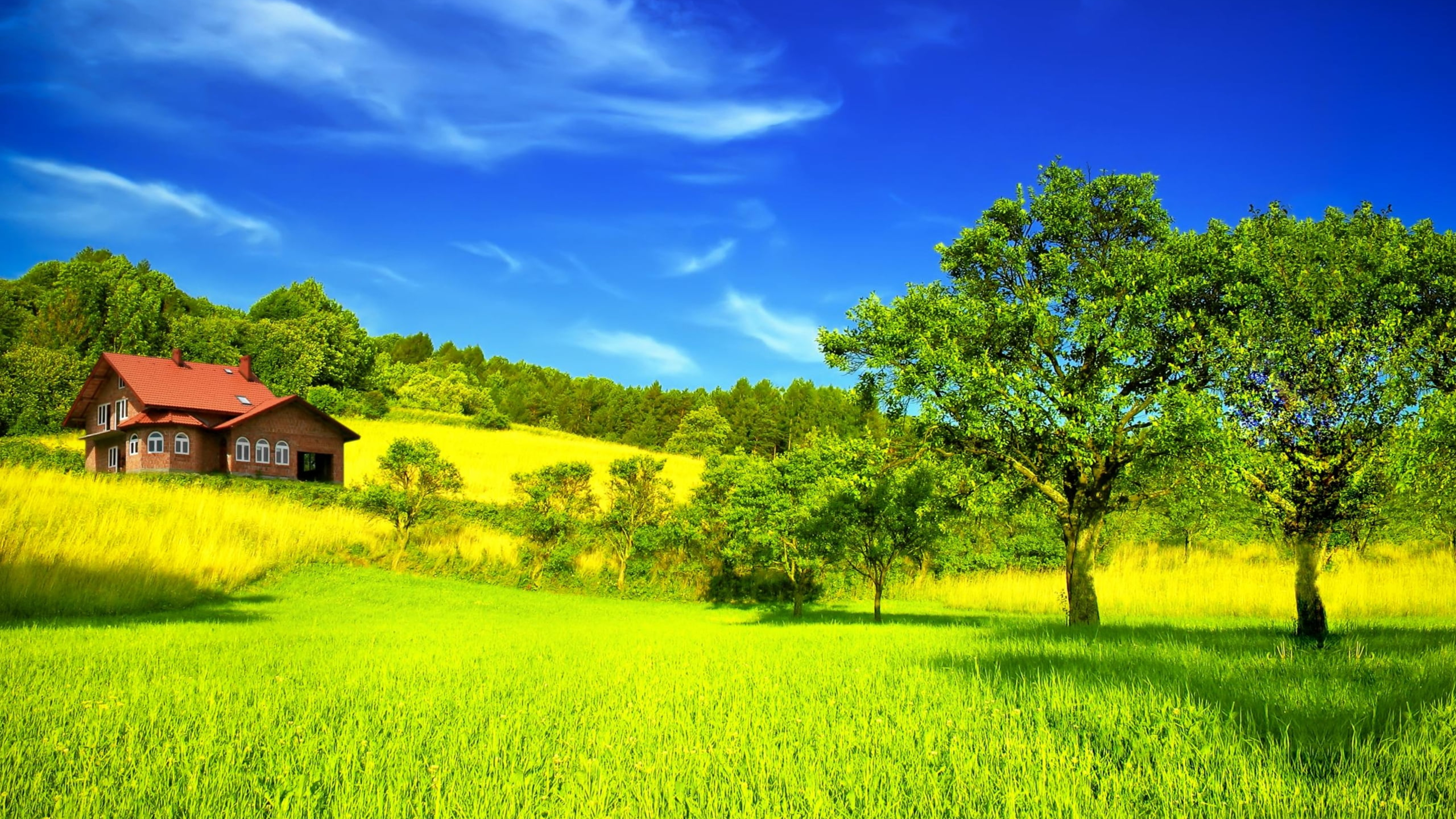 Vomo ai Profile Picture