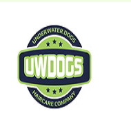 UW DOGS Profile Picture