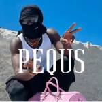 Pequs Store Pequs Profile Picture