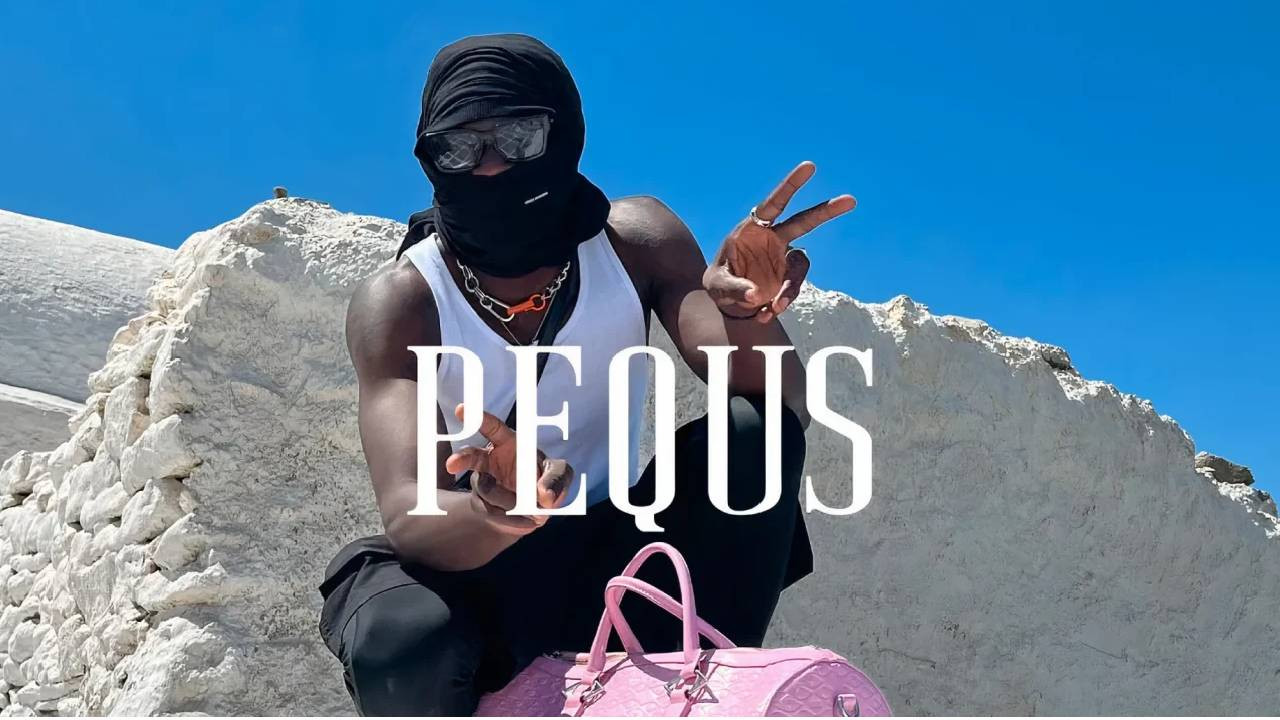 Pequs Store Pequs Profile Picture