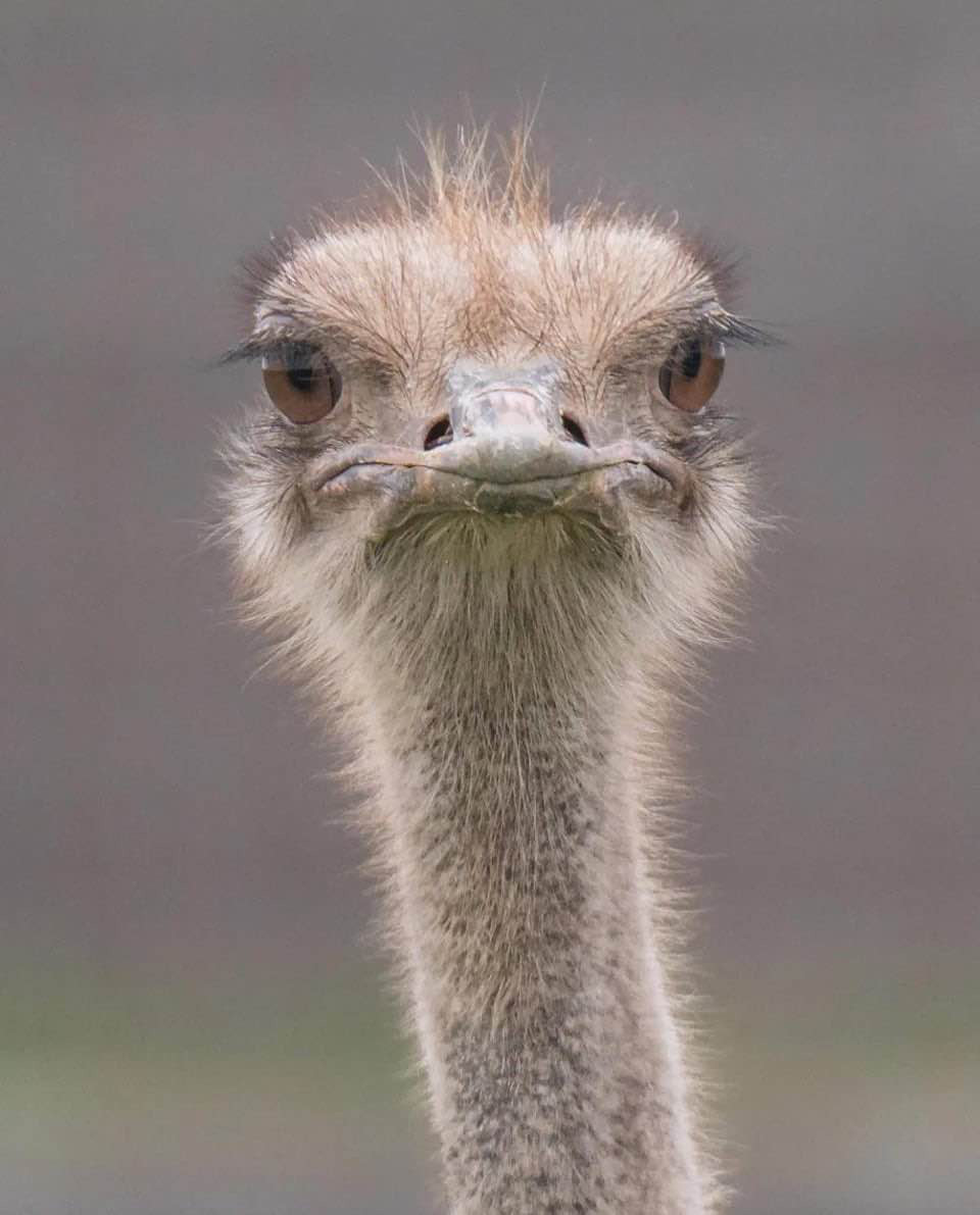 James Walker Profile Picture