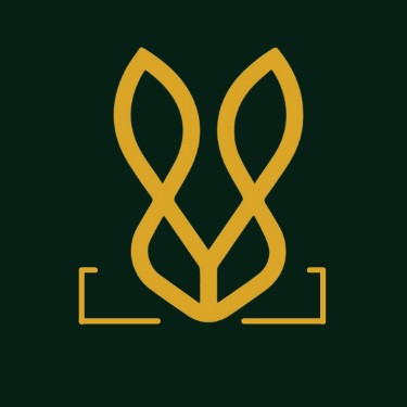 Bold Bunny Profile Picture