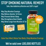 KennethCSeaton KennethCSeaton Profile Picture