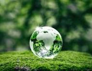 adam jay jay Profile Picture