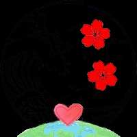 Hanami Sushi Barand and Grill Profile Picture