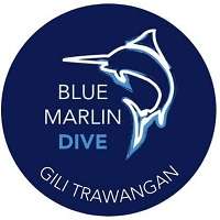bluemarlingiliId Gili Trawangan Profile Picture