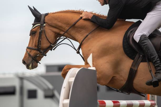 Shahzad Gg har Profile Picture