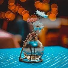 Prime Madrid LLC Profile Picture