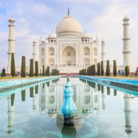 Driver India Private Tour Profile Picture