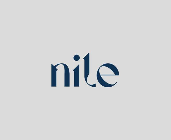 Nile Web Design and Digital Marketing Dubai Profile Picture