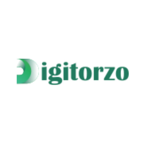 digitorzo llc Profile Picture