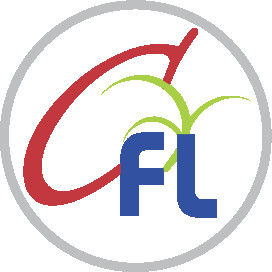 anjali cfl Profile Picture