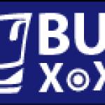 busxoxo busxoxo Profile Picture