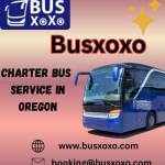 busxoxo service Profile Picture