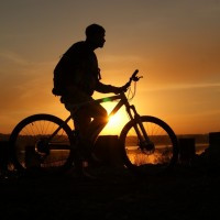 Vasja Zemer Profile Picture