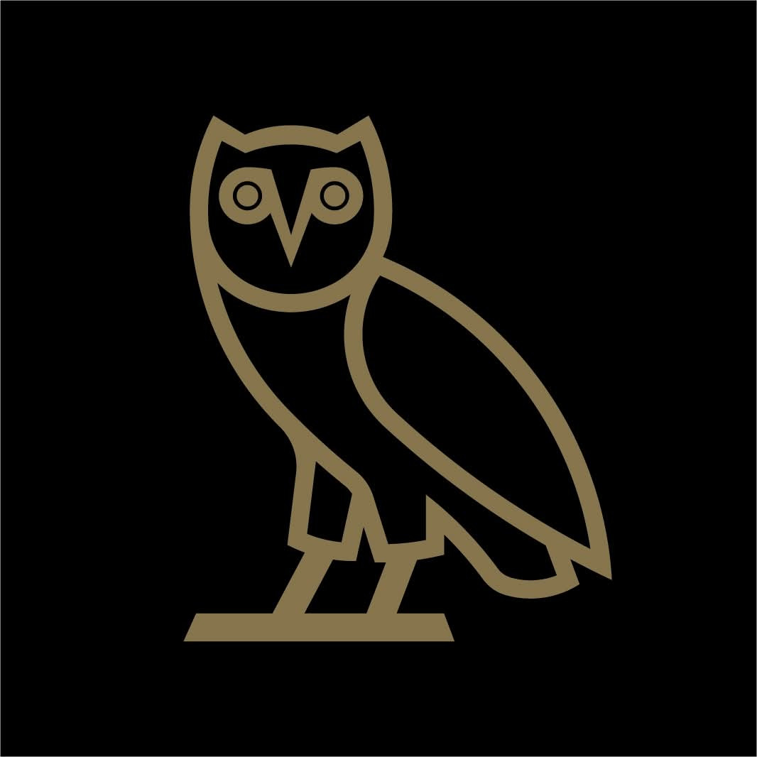 Drake OVO Hoodie Profile Picture
