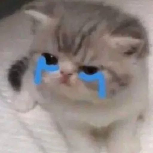 Mimik Fan15 Profile Picture