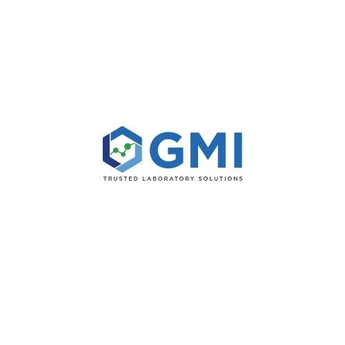 GMI INC Profile Picture
