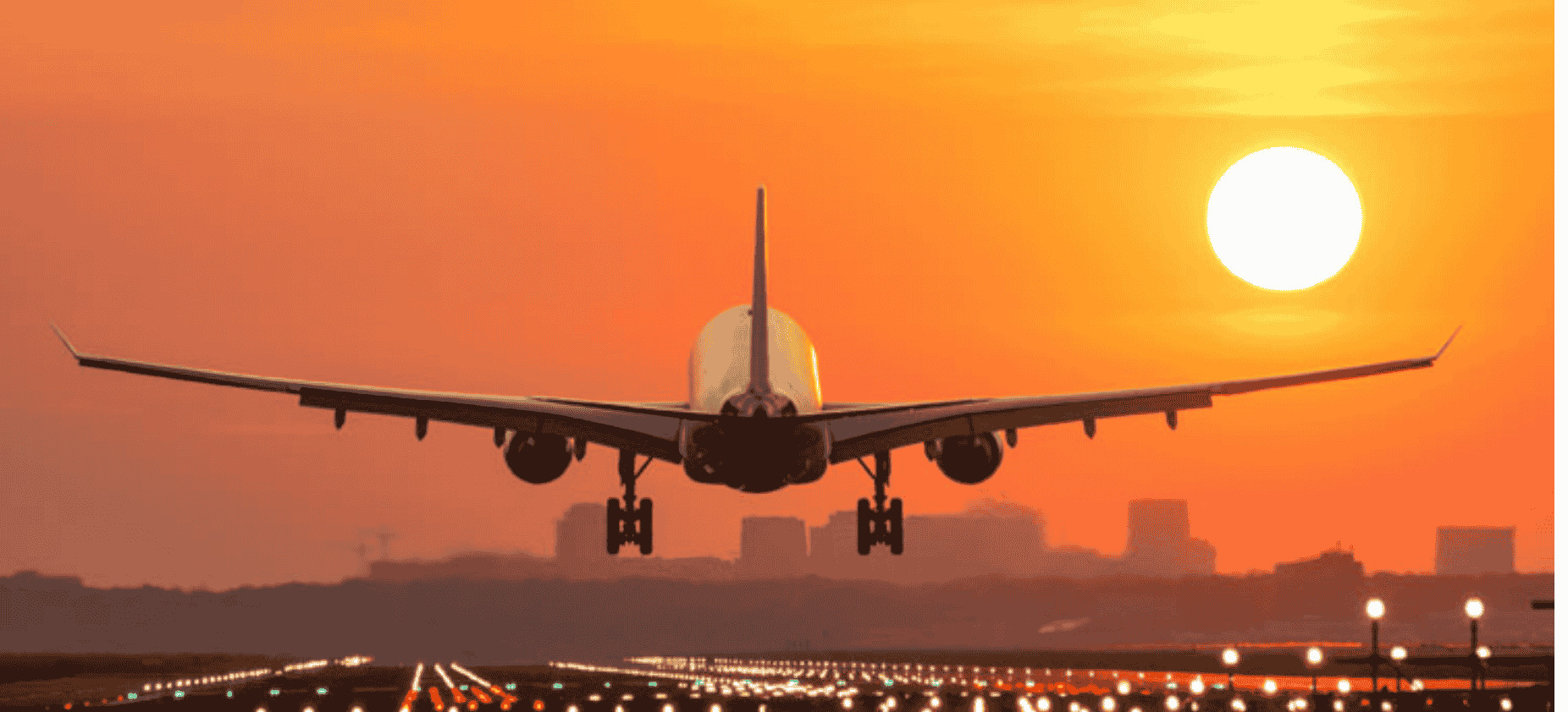 flighs io Profile Picture