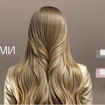 Anastasia Po Profile Picture