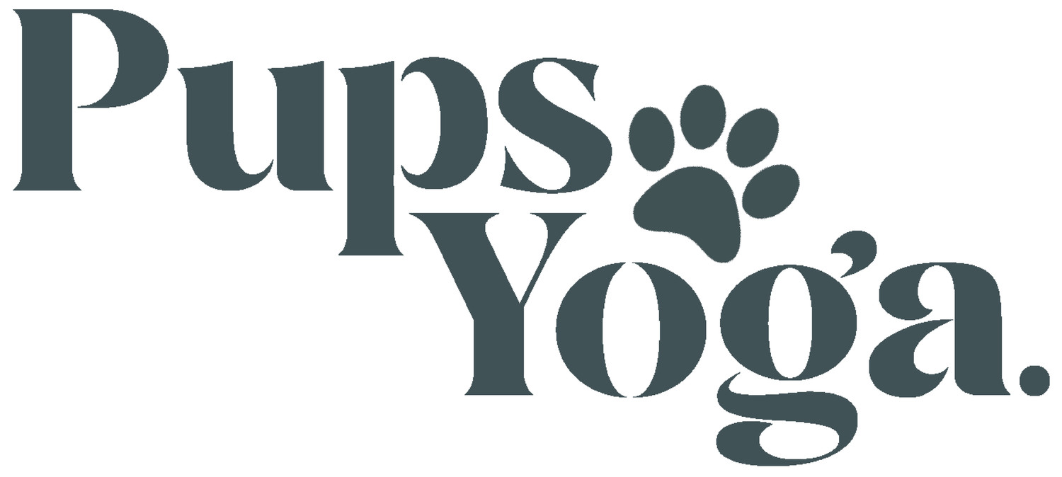 pups yoga Profile Picture
